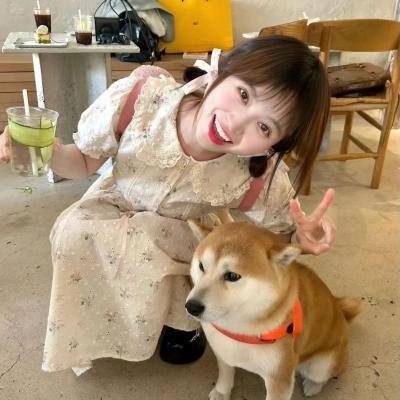 奋斗粤语